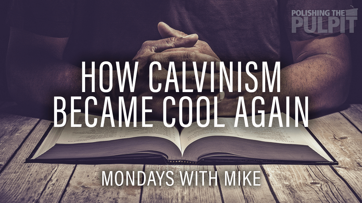 I Am A Calvinist Portfolio Cover